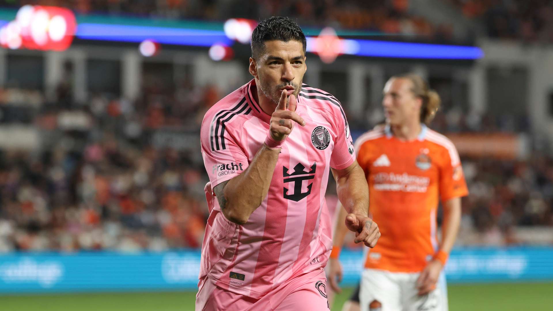 执着于这位 执着于这位